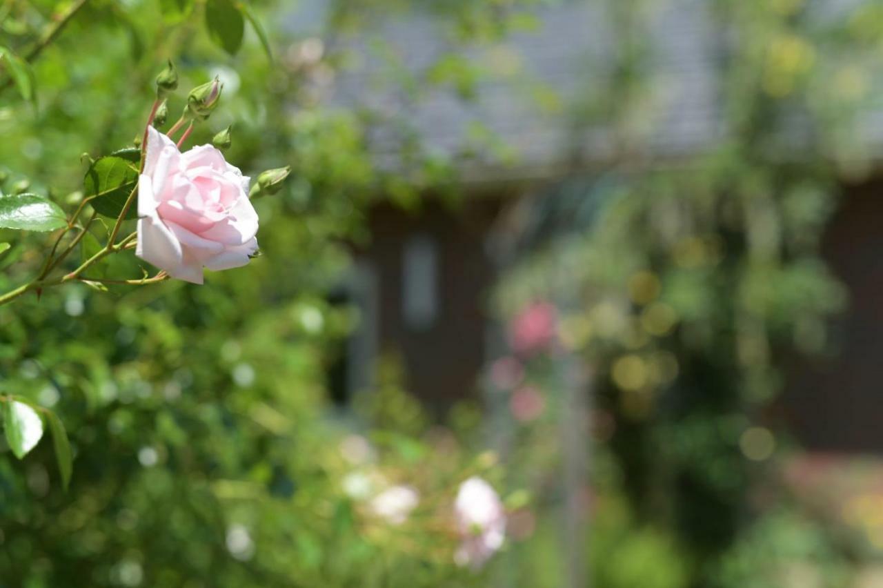 Guesthouse Kizuna Echizen  Exterior photo